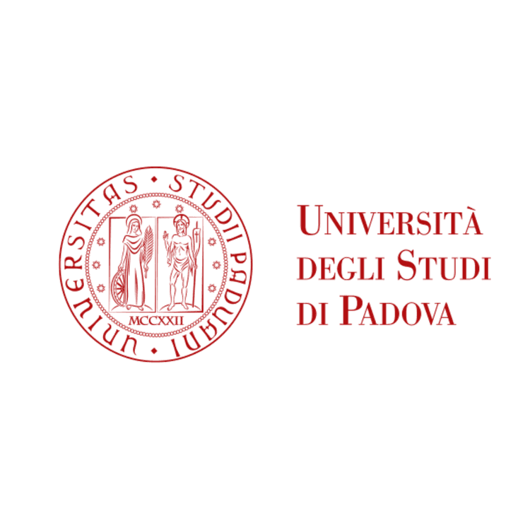 Partner 6
